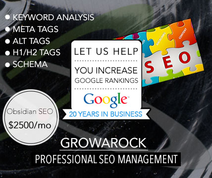 Professional SEO Management - Obsidian SEO package