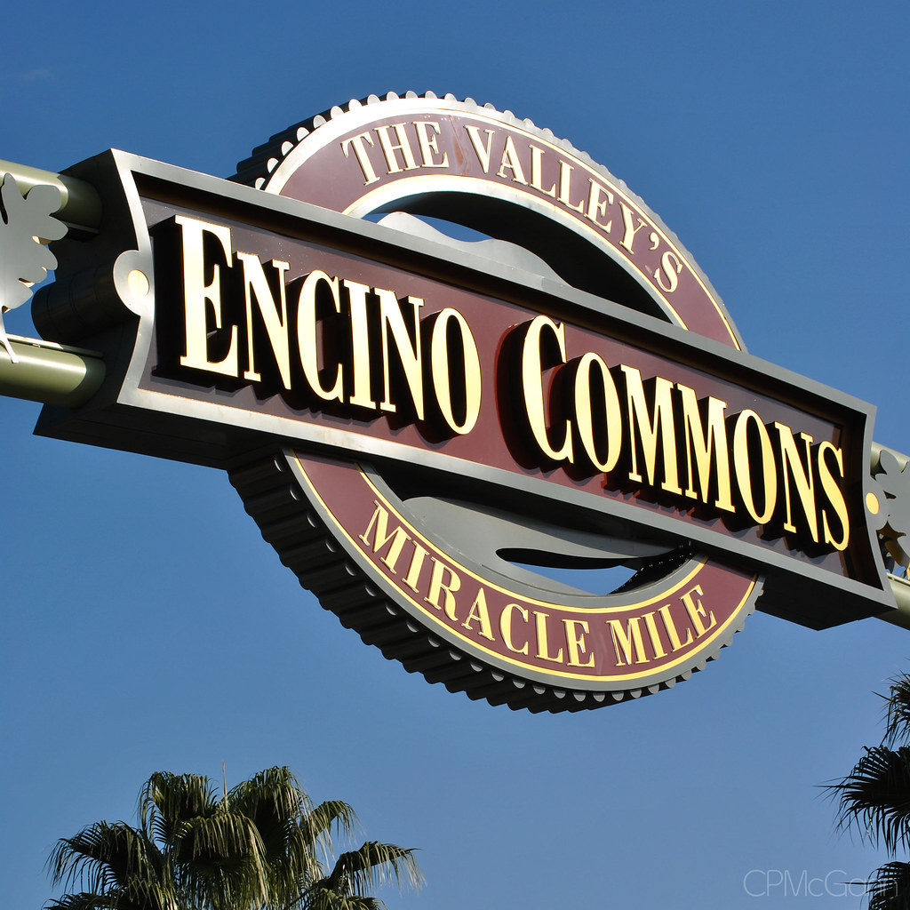 Encino Search Engine Optimization